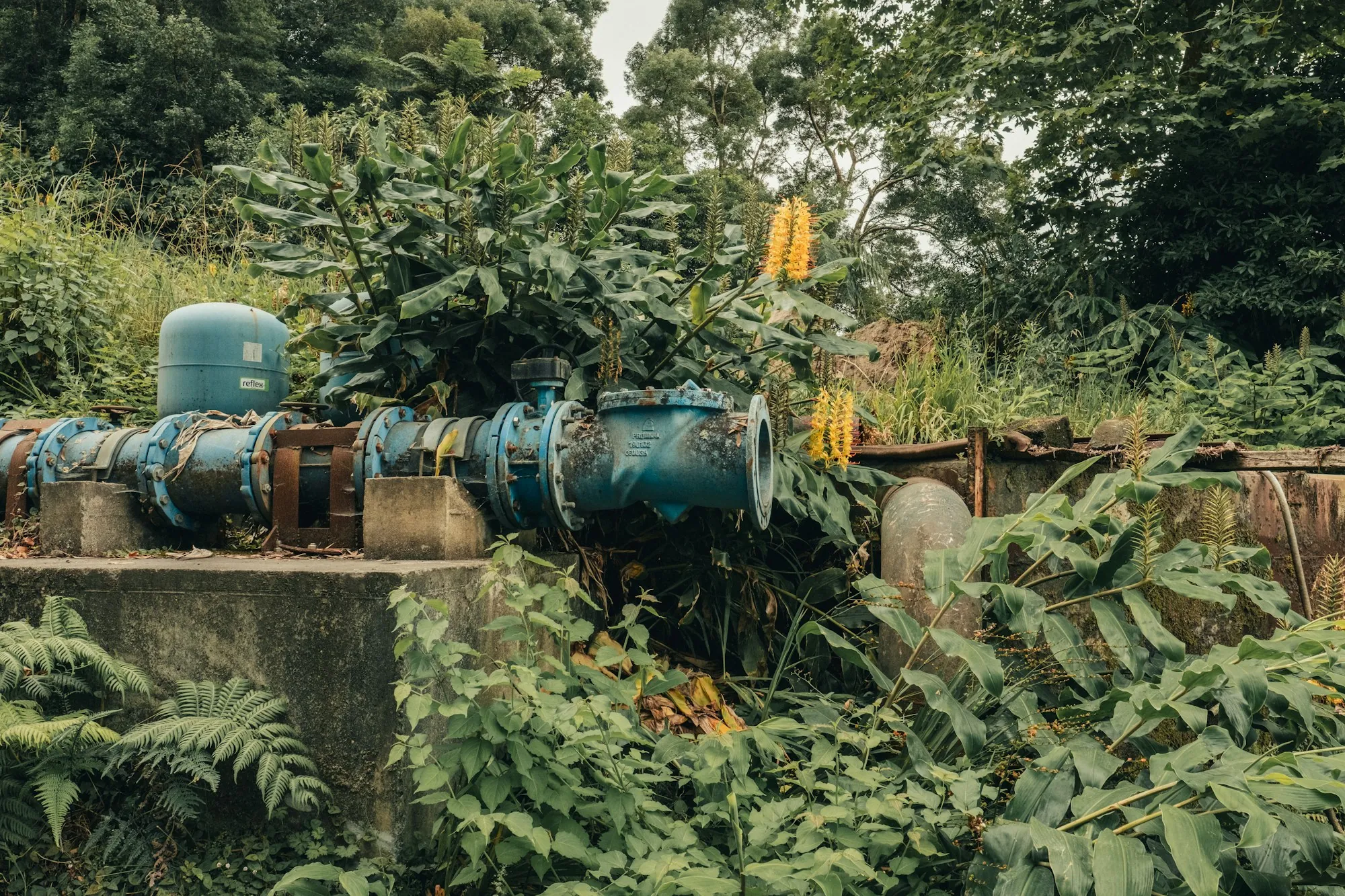 Outdoor water pump and pipes among green foliage
