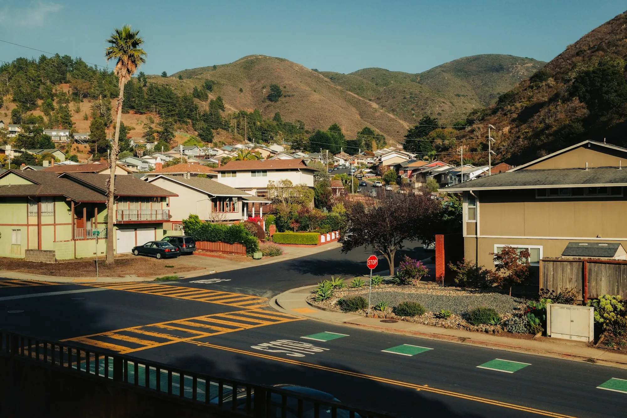 Local water experts rooted in Aliso Viejo Suburban street of homes in a valley below green hills